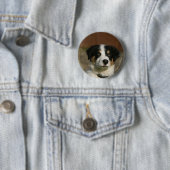 12 Wochen-alter Border-Collie-WelpeHeadshot Button (Beispiel)
