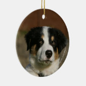 12 Wochen-alter Border-Collie-WelpeHeadshot Keramikornament (Rechts)