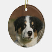 12 Wochen-alter Border-Collie-WelpeHeadshot Keramikornament (Links)