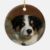 12 Wochen-alter Border-Collie-WelpeHeadshot Keramikornament (Hinten)