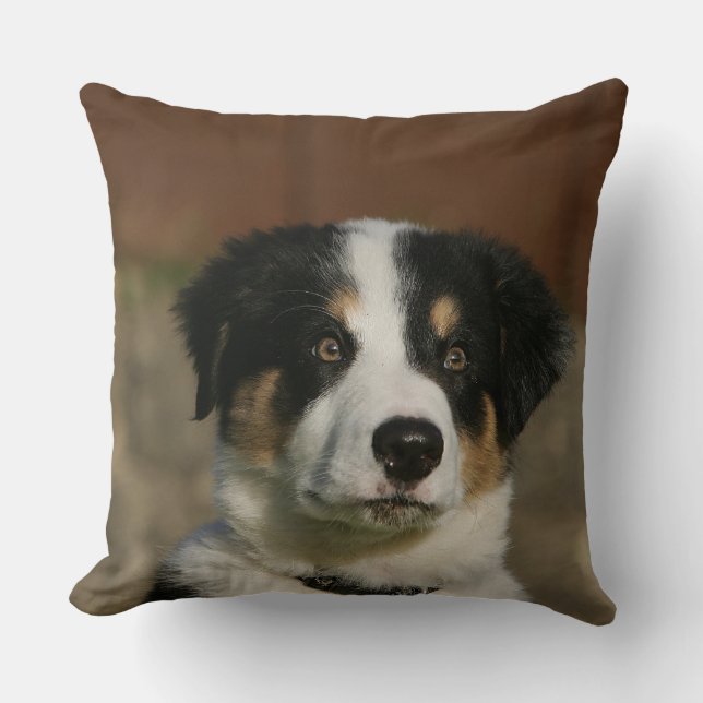 12 Wochen-alter Border-Collie-WelpeHeadshot Kissen (Vorderseite)