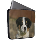 12 Wochen-alter Border-Collie-WelpeHeadshot Laptopschutzhülle (Vorne Rechts)