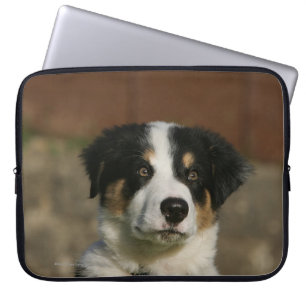 12 Wochen-alter Border-Collie-WelpeHeadshot Laptopschutzhülle