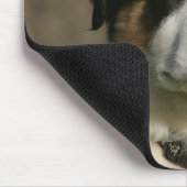 12 Wochen-alter Border-Collie-WelpeHeadshot Mousepad (Ecke)