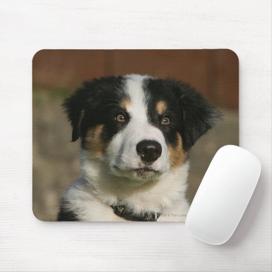 12 Wochen-alter Border-Collie-WelpeHeadshot Mousepad (Mit Mouse)