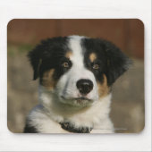 12 Wochen-alter Border-Collie-WelpeHeadshot Mousepad (Vorne)