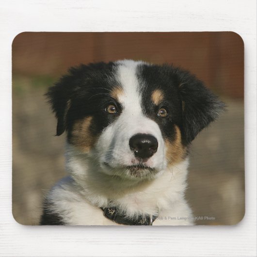 12 Wochen-alter Border-Collie-WelpeHeadshot Mousepad (Vorne)