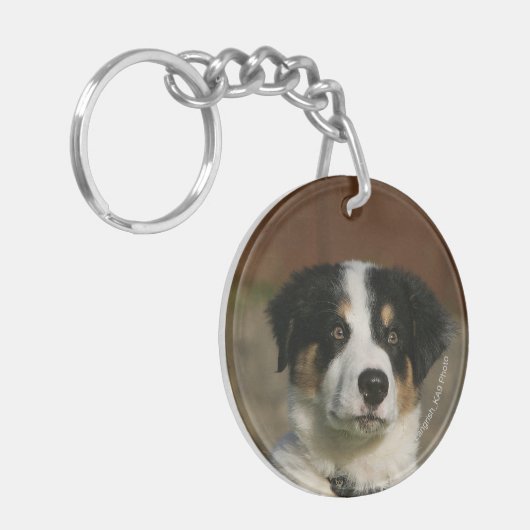 12 Wochen-alter Border-Collie-WelpeHeadshot Schlüsselanhänger (Vorderseite links)