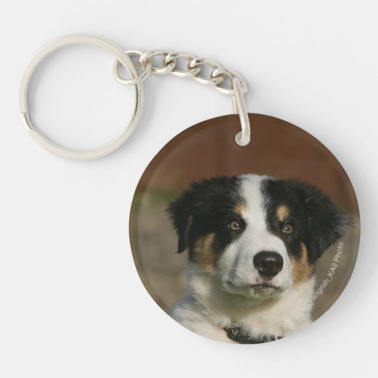 12 Wochen-alter Border-Collie-WelpeHeadshot Schlüsselanhänger (Vorderseite)