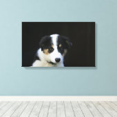 12 Wochen altes Grenz-Collie-Welpe Leinwanddruck (Insitu (Holzboden))