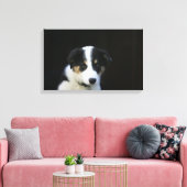 12 Wochen altes Grenz-Collie-Welpe Leinwanddruck (Insitu (Wohnzimmer))