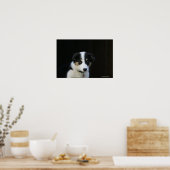12 Wochen altes Grenz-Collie-Welpe Poster (Küche)