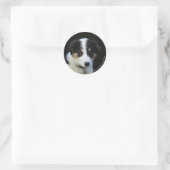 12 Wochen altes Grenz-Collie-Welpe Runder Aufkleber (Tasche)