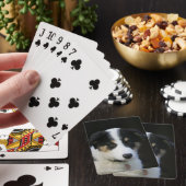 12 Wochen altes Grenz-Collie-Welpe Spielkarten (In Situ)