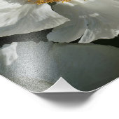 12"x12" Baumpeony Fotodruck (Ecke)