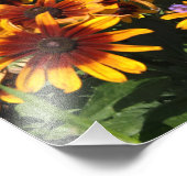 12"x12" Rudbeckia Fotodruck (Ecke)