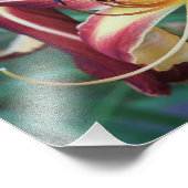 12"x12"-Taglilie Fotodruck (Ecke)