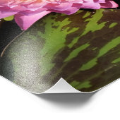 12"x12" Wasserlilie Fotodruck (Ecke)