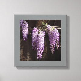 12" x 12" Lila Wisteria auf Holzzaun Leinwanddruck