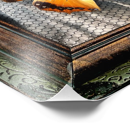 12 Zoll x 12 Zoll Schwarze Achsen Schmetterling Fotodruck (Ecke)