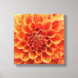 12 Zoll x 12 Zoll überzogene Canvas - orange Blume Leinwanddruck