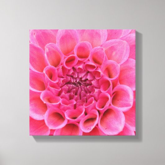 12 Zoll x 12 Zoll überzogene Canvas - rosa Blume Leinwanddruck (Vorderseite)