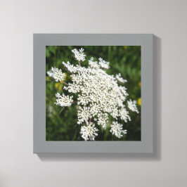 12 Zoll x 12 Zoll Weißkönigin Ann's Spitzen-Foto Leinwanddruck