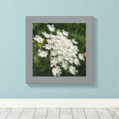 12 Zoll x 12 Zoll Weißkönigin Ann's Spitzen-Foto Leinwanddruck (Insitu (Holzboden))