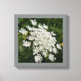 12 Zoll x 12 Zoll Weißkönigin Ann's Spitzen-Foto Leinwanddruck