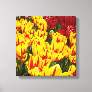 12x12 Leinwand Florale Kunst Drucke Gelbe Rote Tul