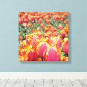 12x12 Leinwand Kunstdruck Tulip Blume Quadrat Lein (Insitu (Holzboden))
