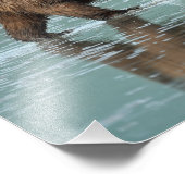 12x12 Satin Foto von Grizzlybär (Ecke)