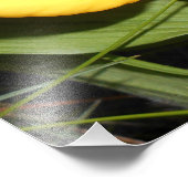 12x16 Foto drucken (Ecke)