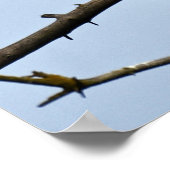 12x16 Poster (Matte) mit Adler (Ecke)