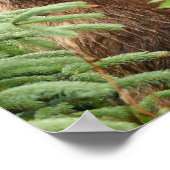 12x16 Poster (Matte) mit Grizzlybär (Ecke)