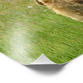 12x16 Satinfinish Foto von Grizzlybärchen (Ecke)