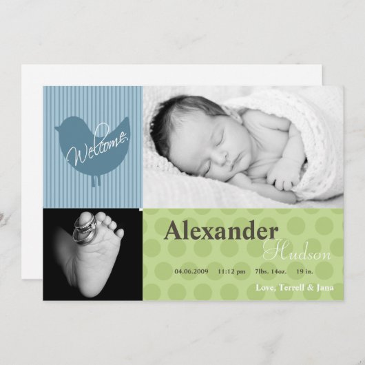 12x18 Baby Boy Blue Bird Foto Geburtsankündigung Ankündigung (Vorne/Hinten)