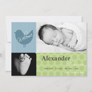 12x18 Baby Boy Blue Bird Foto Geburtsankündigung Ankündigung
