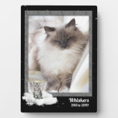 12x18 Cat Pet Memorial Silver Tabby Foto Fotoplatte (Vorderseite)