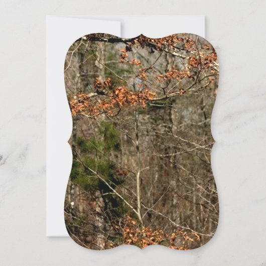 12x18, das einladung (Rückseite)