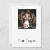 12x18-Geburtstagskarte Karte (Rückseite)