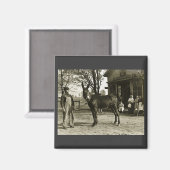 12x18 GLASS NEGATIVE Milwaukee Mule Magnet (Vorderseite/Rückseite)