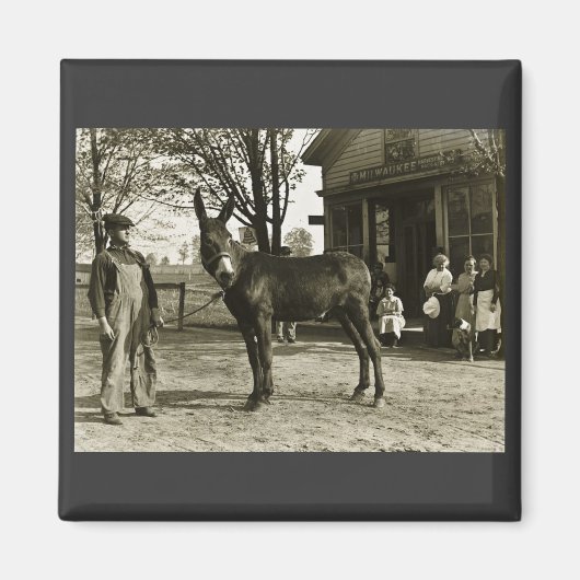 12x18 GLASS NEGATIVE Milwaukee Mule Magnet (Vorne)