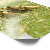 12x18 grizzlybären Foto Print (Ecke)