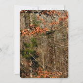 12x18 jagd Hirsch Doe Buck Camouflage Hochzeit Ein Einladung (Rückseite)