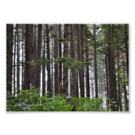 12x18 La Push 2. Strandweg Fotodruck