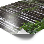 12x18 La Push 2. Strandweg Fotodruck (Ecke)