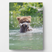 12x18 mit Grizzlybär Fotoplatte (Vorderseite)