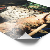 12x18 Northern Flicker Fotodruck (Ecke)