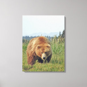 12x24 überzogene Canvas (Glanz) mit Grizzlybär Leinwanddruck
